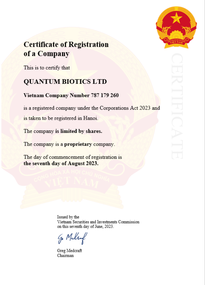 Vietnam business registration certificate Word and PDF template